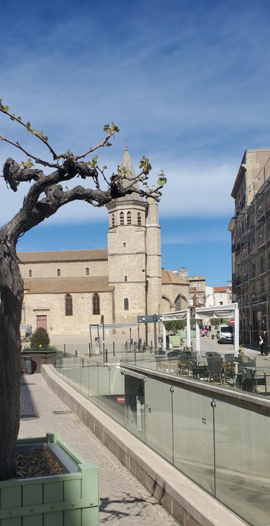 Charmant F4 rénové proche coeur de ville Béziers Exterior foto
